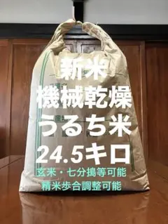 じ*く様 25kg発送 期間限定価格 無洗米仕上げ お米 精米済 令和7年産