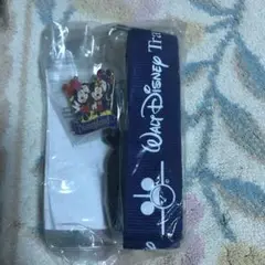新品❣️美品❣️海外ピン、ディズニートラベル、ピンバッジとランヤード