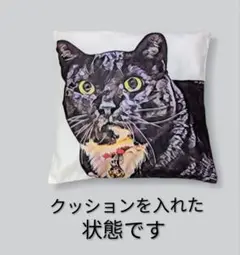 クッションカバー（オリジナルイラストオリジナル）新八