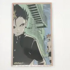 未使用 ハイキュー！！ メモリアルコレクション 第1弾 西谷夕 日向翔陽 9