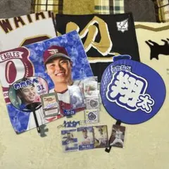 値下げ⚠️ 東北楽天ゴールデンイーグルス 内星龍 選手 グッズセット