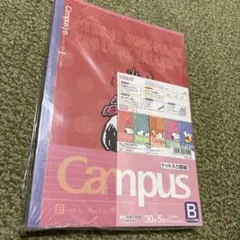 スヌーピー キャンパスノート 5冊セット
