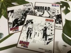 ジャンプフェア ‘25 in アニメイト 特典 ミニ色紙　3枚　①