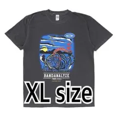 チャレンジャー　CHALLENGER プリントTシャツ　ポークチョップ　マシス