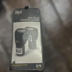 Everlast Pro Style Training Gloves 14ozのサムネイル