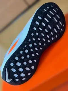 Nike Infinityrun4 プロトタイプ版(27.5cm)