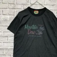 USA製90sヴィンテージTシャツ！シングルステッチ　半袖古着　グレーM 14