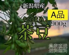 新潟茶豆　A品 900gのサムネイル