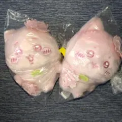 【2種セット】ちいかわ　ぬいぱれっと　さくらいろ　マスコット1　ハチワレ