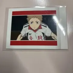 夜久衛輔　ハイキュー　パシャこれ