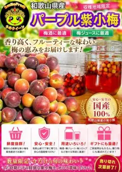 和歌山県産　生産地域限定‼️【希少品種 】紫小梅L.Mサイズ2Kg みかんキング