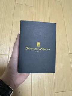 新品未使用✨SEIKOメラニーナ スポーツタイプブラウン紫外線ブルーライトカット 新品未使用✨SEIKOメラニーナ スポーツタイプブラウン紫外線ブルー