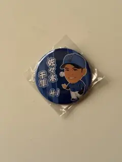 横浜DeNAベイスターズ　佐々木千隼