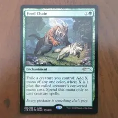【英語版Foil】食物連鎖/Food Chain