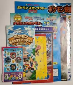 ポケモン　フライヤーセット