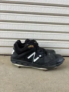 Item thumbnail for item 6d2f9be1-f448-4eb1-abdd-005b648d0b7f