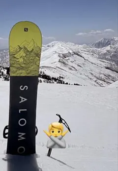 SALOMON SIGHT 153cm　サロモン　サイト　スノーボード サロモン（SALOMON）（メンズ）スノーボード 板 スノボ 24-25