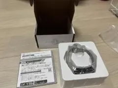 イレブンバンド 王帝月一宮モデル 本体のみ