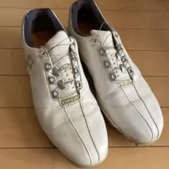 2025年最新】footjoy DNAの人気アイテム - メルカリ