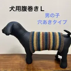 犬用腹巻きＭ　男の子Ｈ652