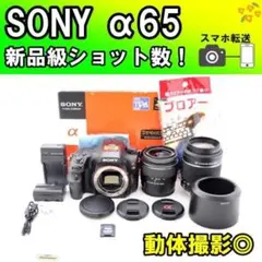 屋外スポーツ・動体撮影◎　SONY α65　Wレンズ✨一眼レフカメラ スマホ転送 屋外スポーツ・動体撮影◎SONY α65 Wレンズ✨一眼レフカメラ スマホ