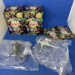 Item thumbnail for item e5b36157-a48f-4d51-bff1-4a3a0d5ec233