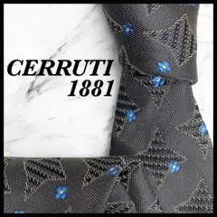CERRUTI 1881 ネクタイ シルク グレー系 小花柄