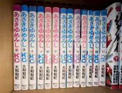 あさきゆめみし 全13巻セット 大和和紀 講談社 KCのサムネイル