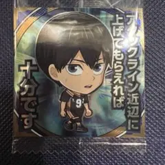 ハイキュー シール ウエハース　　HQ 1-11 R 影山