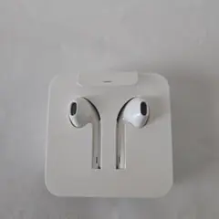 Apple EarPodsとLightningアダプタセット