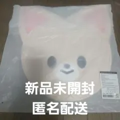 Stray Kids スキズ　ソウル　アイエン　フォクシニー　うちわカバー