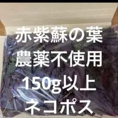 赤紫蘇の葉150g以上農薬不使用ネコポスのサムネイル