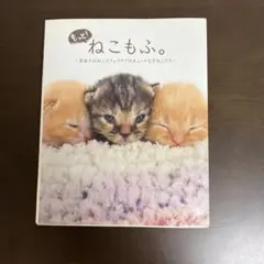 もっと！ねこもふ。 自由が丘ねこカフェクラブ 写真集