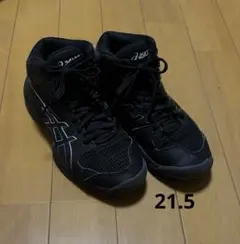 バッシュ　アシックス　ダンクショット　21.5