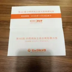 コジマ・ビックカメラ 株主優待券 4枚セット4000円