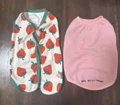 Item thumbnail for item 3f75c80e-e037-44eb-9b73-8336927d6ed4