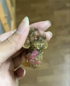 トイプードル　小物　【匿名配送