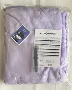 TXT アプグレ特典　ブランケット　キーホルダー　ステッカー