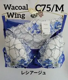 2025年最新】ワコールサルートc75の人気アイテム - メルカリ