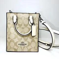 極美品　COACH ミニトートショルダーバッグ サウス　CJ494 コーチ