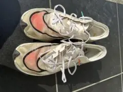 Item thumbnail for item 3c550b9b-4f30-4668-8b51-f9e6152b5525