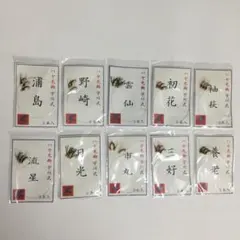 Item thumbnail for item 8d34f515-0e93-4fc1-b343-65f354530427