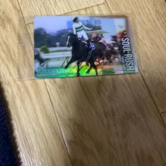 サラブレッドホースコレクション　ソウルラッシュ