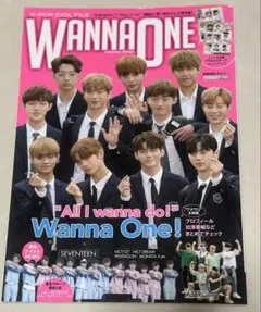 Wanna One 大特集 K-POP IDOL FILE