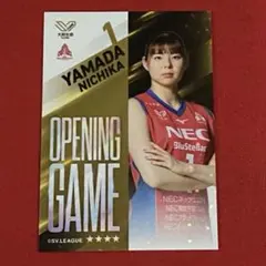 2025年最新】山田二千華の人気アイテム - メルカリ