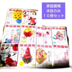家庭画報 本誌のみ １０冊セット