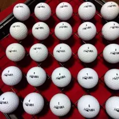 ゴルフロストボールホンマ白25球