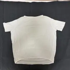 Item thumbnail for item 9a423706-afb9-4729-9832-a2c69ad31646