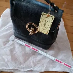 Item thumbnail for item ad1c391c-a47a-4a26-ac9d-ef3e0fed715a