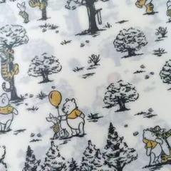 くまのプーさん クリアホルダー  東京ディズニーリゾート